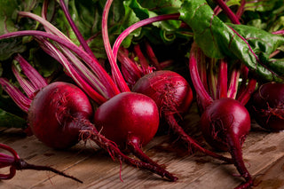 Beet Root