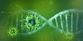 Virus Protection - Health Beyond Hype