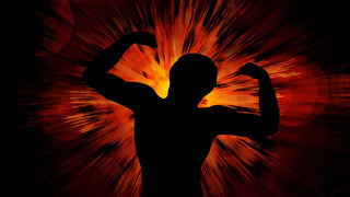 Key Functions of the Kidneys - Health Beyond Hype