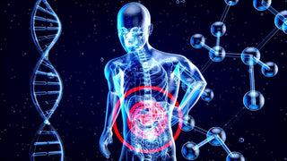 Strengthening the GUT - Health Beyond Hype