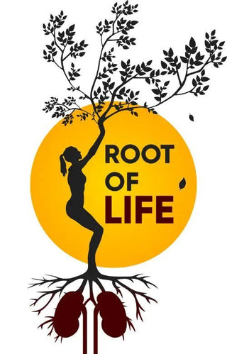 The Kidneys - The ROOT OF LIFE - Health Beyond Hype
