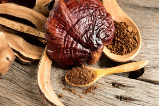Reishi Mushrooms For Sleep - The Science Explained - Health Beyond Hype