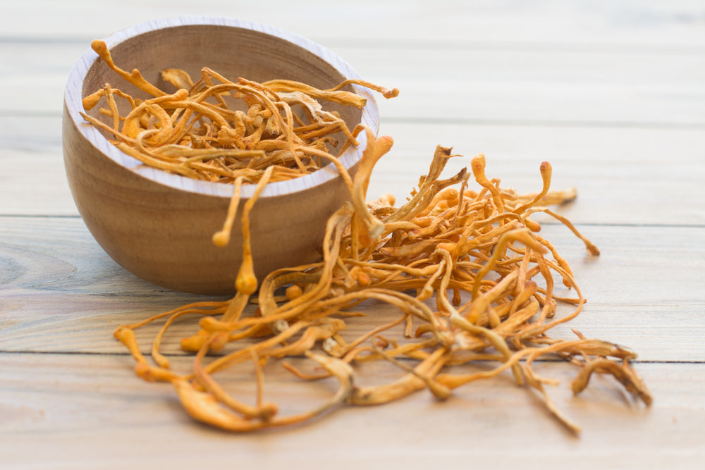 Cordyceps For The Liver And More!
