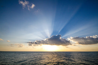 Beyond the Physical - Meta Physical Path to Wellness..